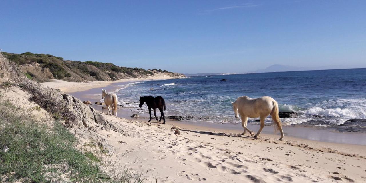 Tarifa-Blick Auf Afrika, Haus Am Meer, Haustiere Erlaubt Luaran gambar